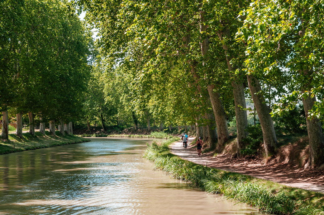 Le canal du mid entouré d'arbres Le canal du mid entouré d'arbres