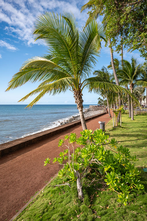 Promenade et palmiers de Saint-Denis Promenade et palmiers de Saint-Denis, La Réunion