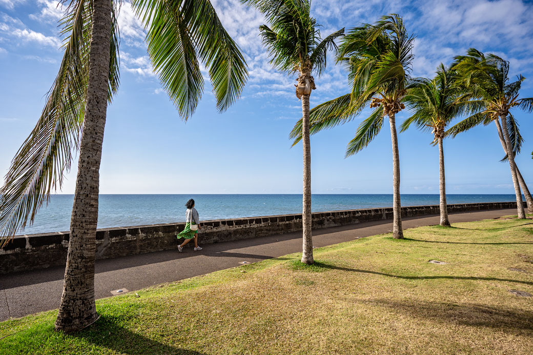 Promenade le long des palmiers de Saint-Denis Promenade le long des palmiers de Saint-Denis, La Réunion