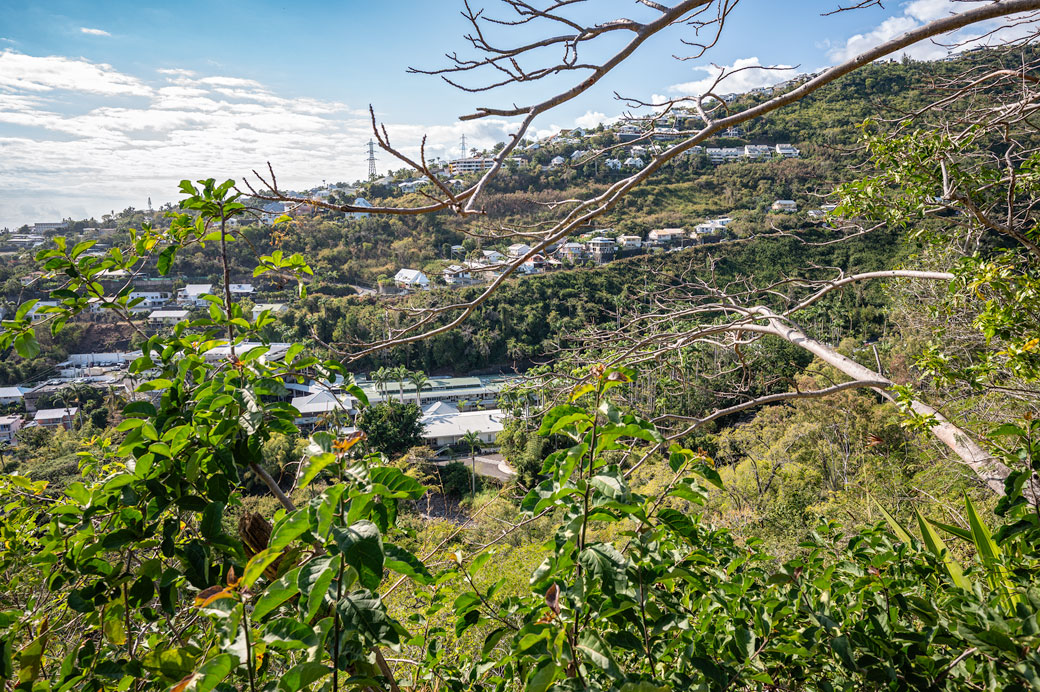 Saint-Denis depuis la forêt de La Providence Saint-Denis depuis la forêt de La Providence, La Réunion