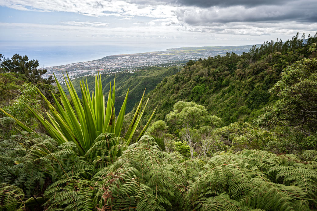 Vue sur Saint-Denis depuis le sentier du GR R2 Vue sur Saint-Denis depuis le sentier du GR R2, La Réunion