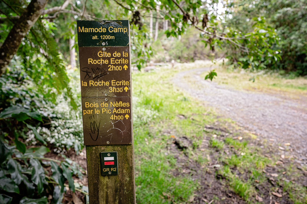 Sentier du GR R2 depuis Mamode Camp Sentier du GR R2 depuis Mamode Camp, La Réunion