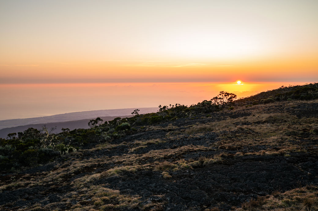 Lever de soleil sur la plaine des Chicots Lever de soleil sur la plaine des Chicots, La Réunion