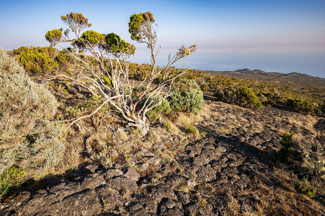 Descente de la Roche Écrite par la plaine des Chicots Descente de la Roche Écrite par la plaine des Chicots