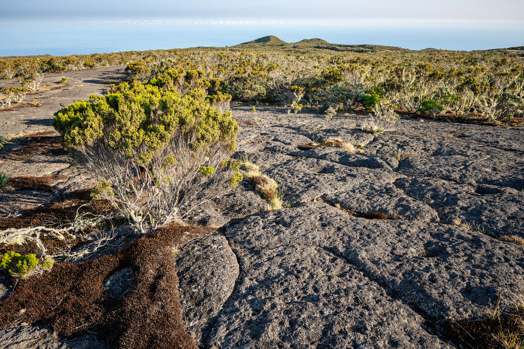 Rocher sur la plaine des Chicots Rocher sur la plaine des Chicots, La Réunion