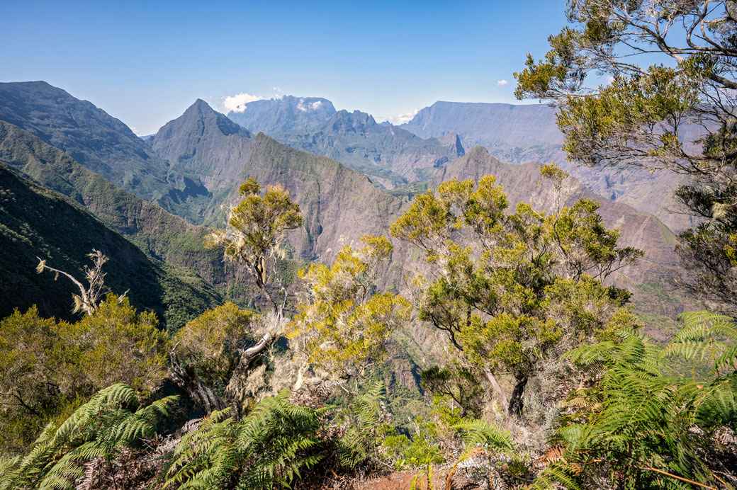 Relief et végétation du cirque de Mafate sur le GR R2