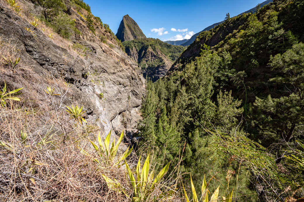 Vue sur le piton Cabris près de l'Îlet à Bourse