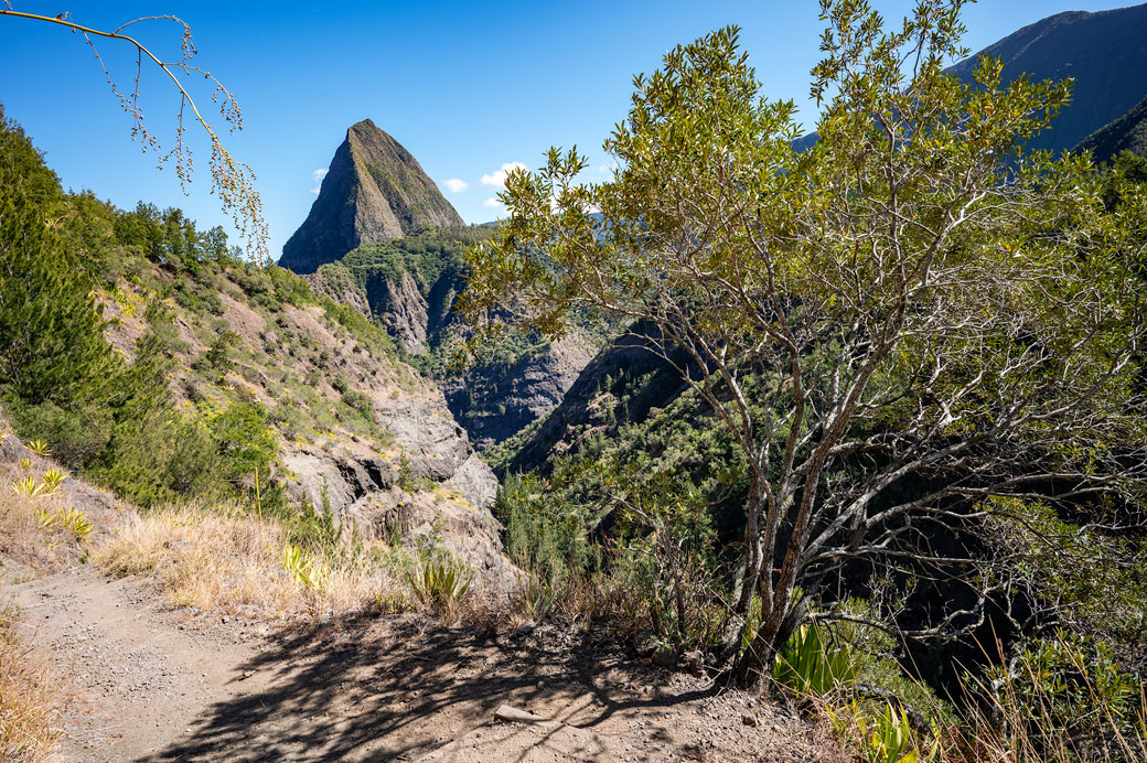 Piton Cabris et ciel bleu près de l'Îlet à Bourse