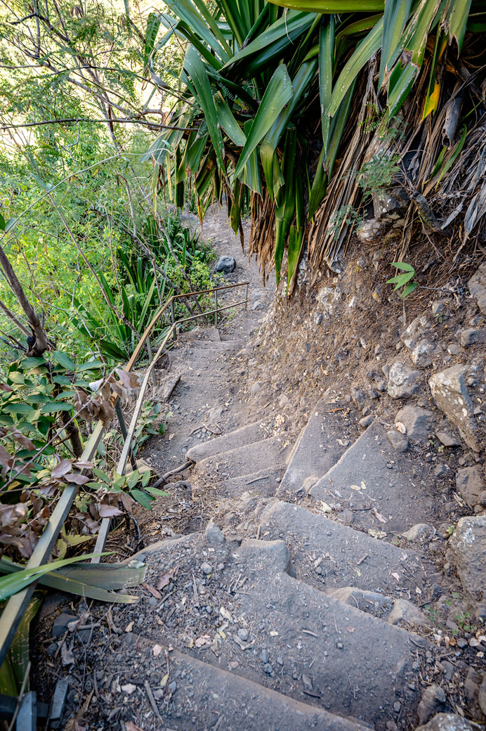 Descente dans une ravine du cirque de Mafate