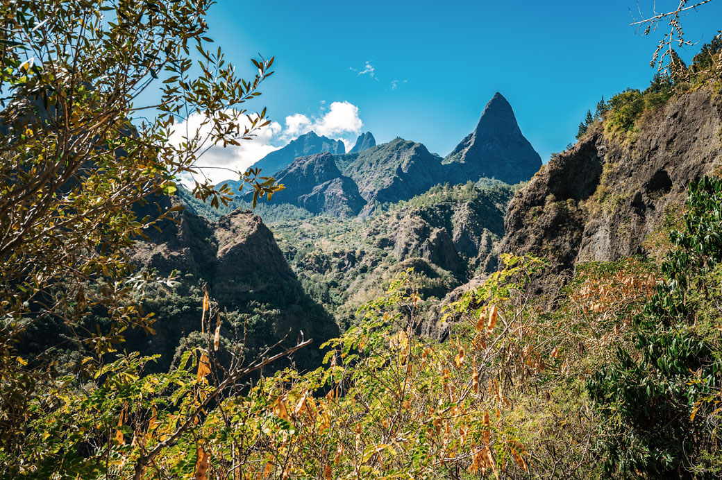 Piton des Calumets en montant vers l'îlet des Orangers