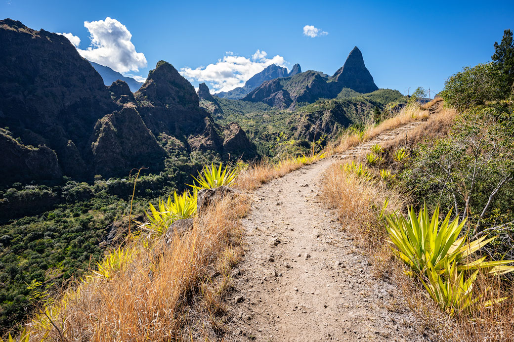 Piton des Calumets vue d'un sentier près de l'îlet des Lataniers