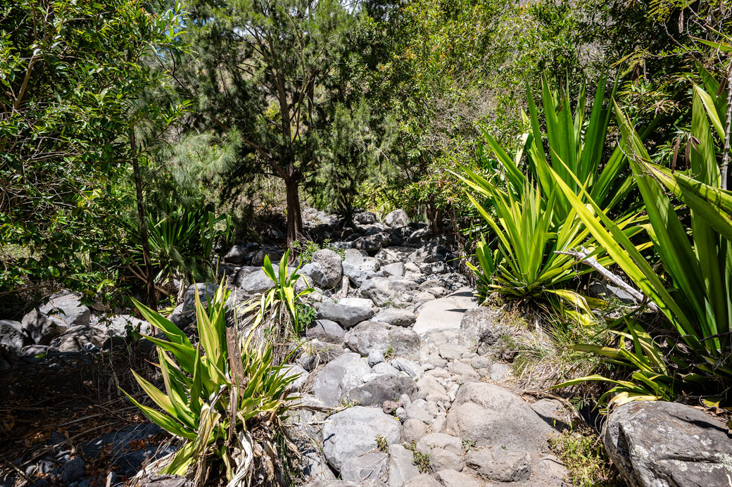 Sentier du GR R2 dans la ravine des Orangers