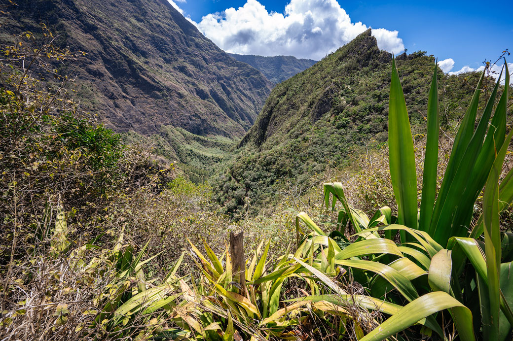 Ravine depuis la Brèche dans le cirque de Mafate