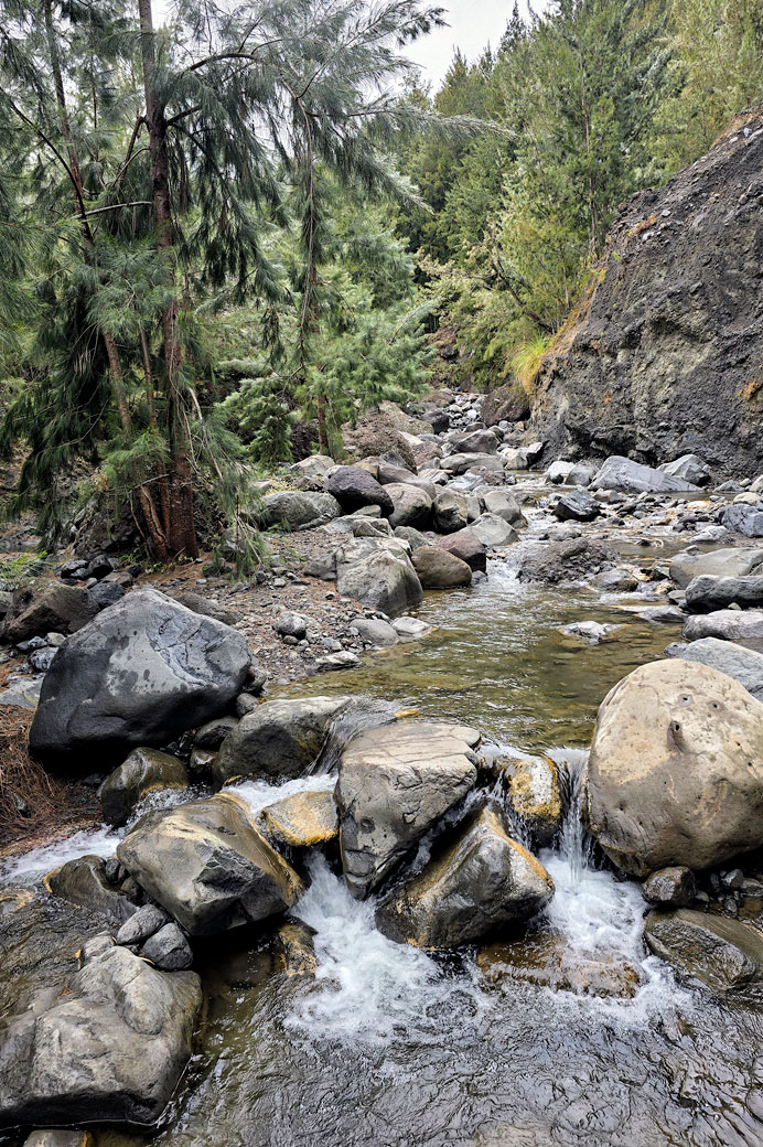 Rivière des Galets entre La Nouvelle et Marla