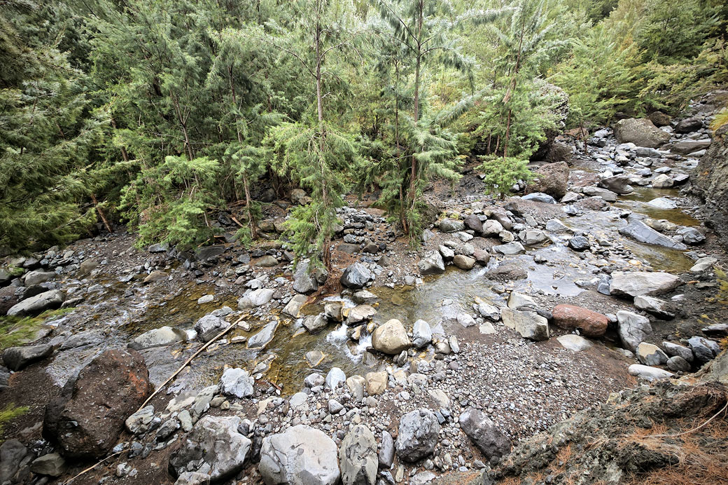 Forêt et rivière des Galets entre La Nouvelle et Marla