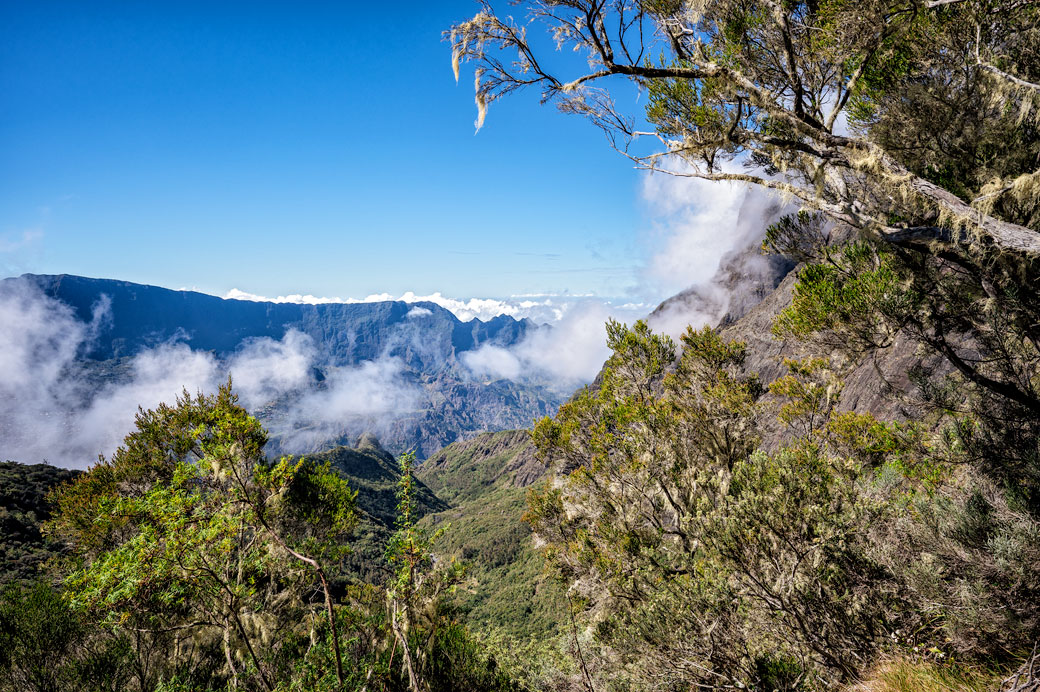 Végétation et nuages dans le cirque de Cilaos