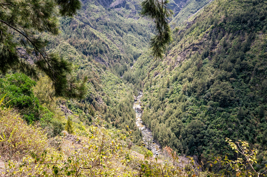 Bras de Cilaos et forêt, La Réunion