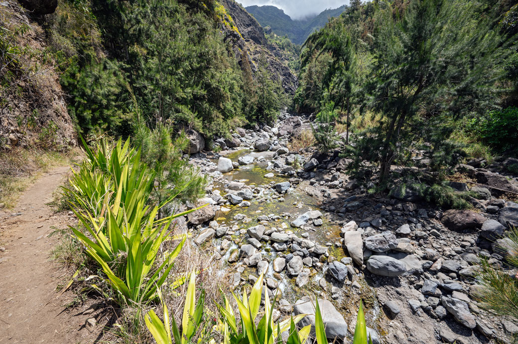 Sentier du GR R2 au bord du Bras de Cilaos