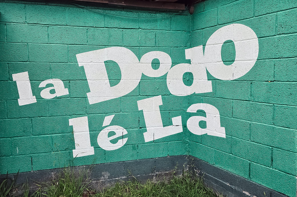 La Dodo lé La sur un mur à Cilaos