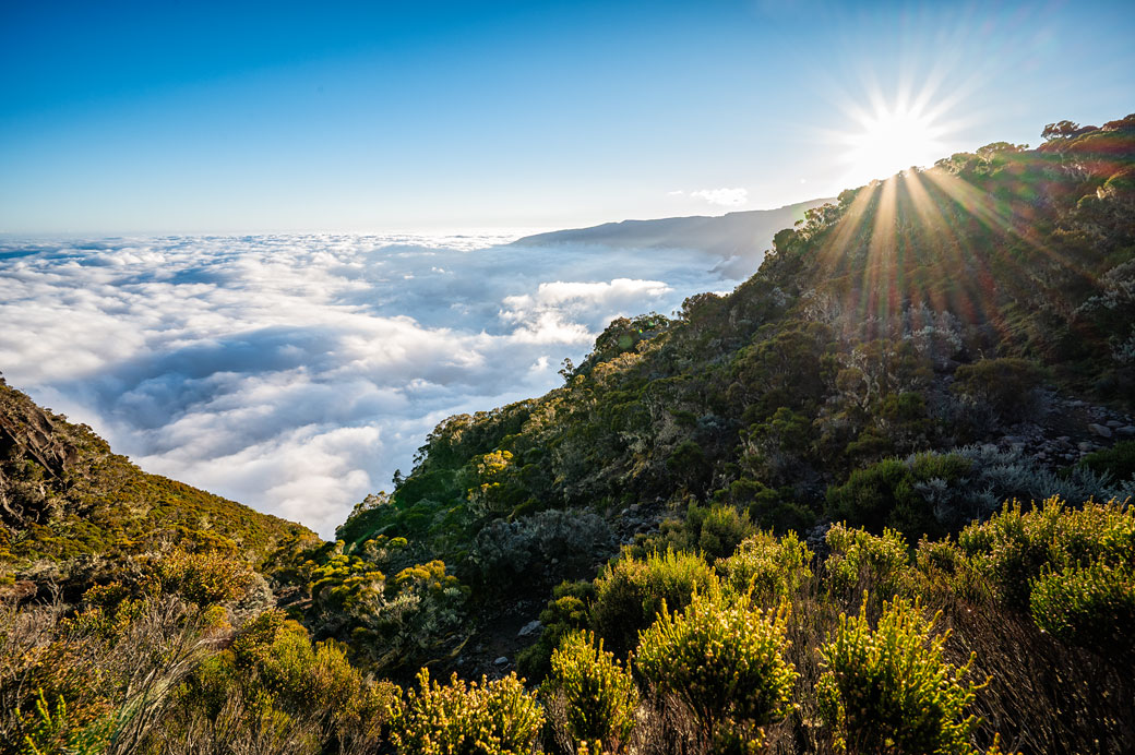 Mer de nuages et soleil au sommet du Bloc