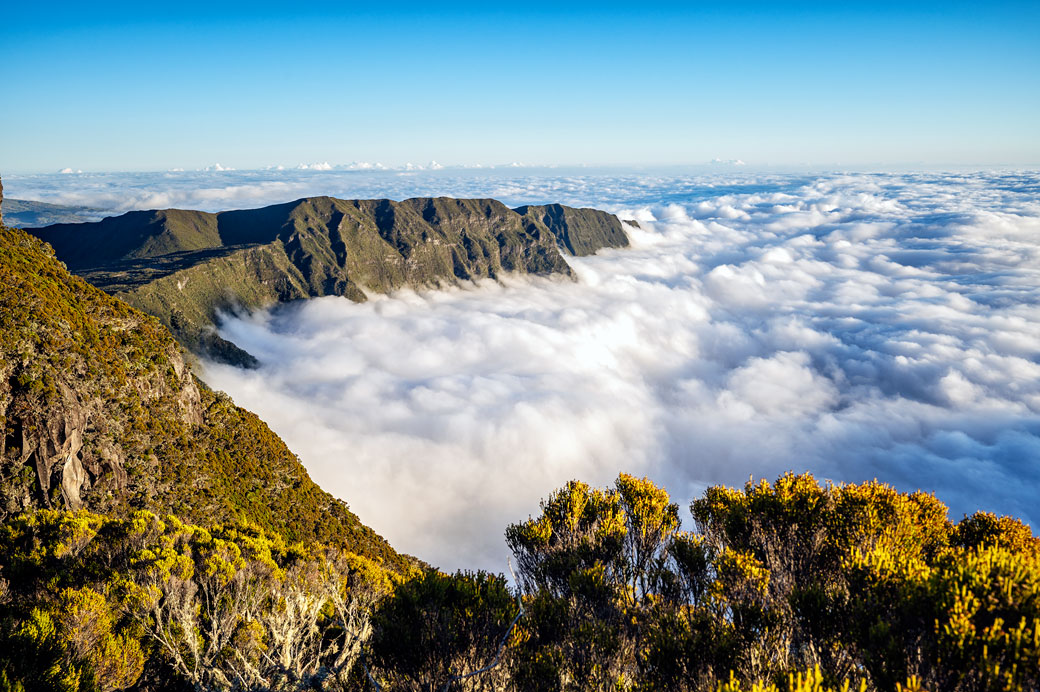Mer de nuages et végétation sur le massif du Piton des Neiges