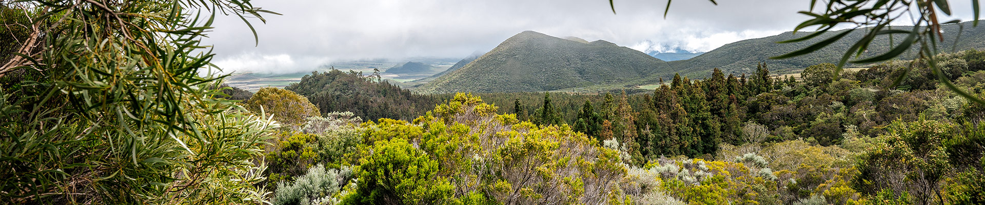 Top image plaine des Cafres à La Réunion