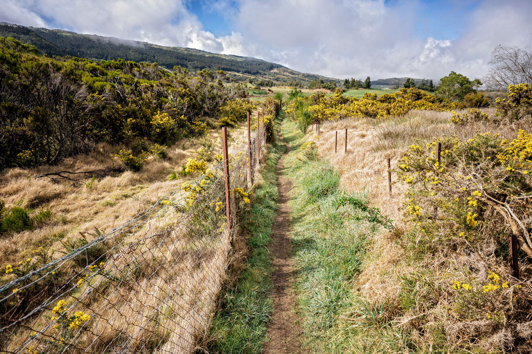 Sentier du GR R2 sur la plaine des Cafres Sentier du GR R2 sur la plaine des Cafres