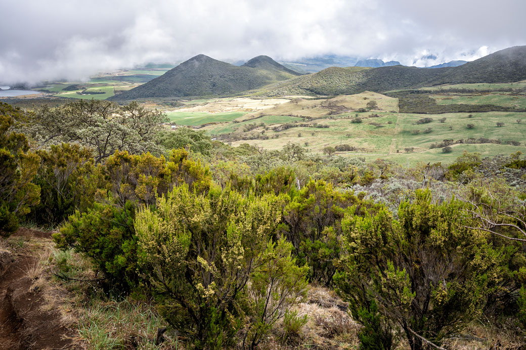 Plaine des Cafres et cônes volcaniques Plaine des Cafres et cônes volcaniques