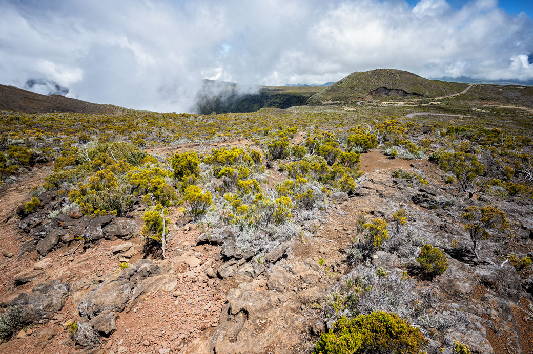 Paysage volcanique et végétation dans les Hauts Paysage volcanique et végétation dans les Hauts
