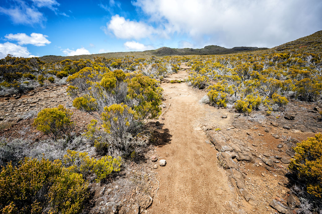 Sentier du GR R2 et végétation des Hauts Sentier du GR R2 et végétation des Hauts