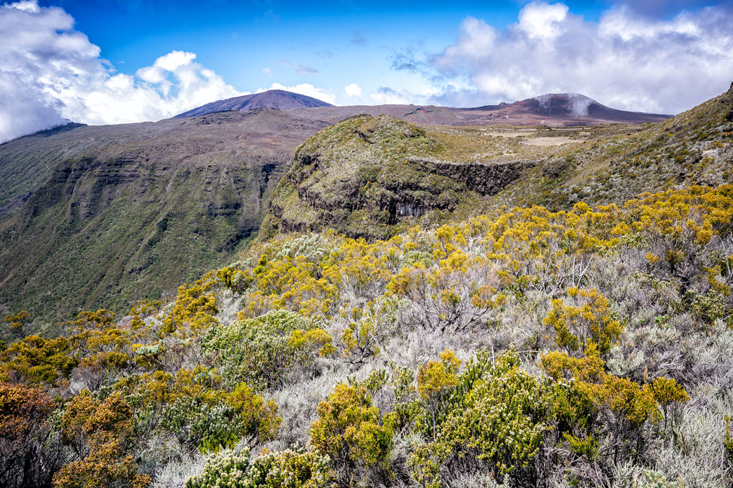 Végétation des Hauts et Piton de la Fournaise Végétation des Hauts et Piton de la Fournaise