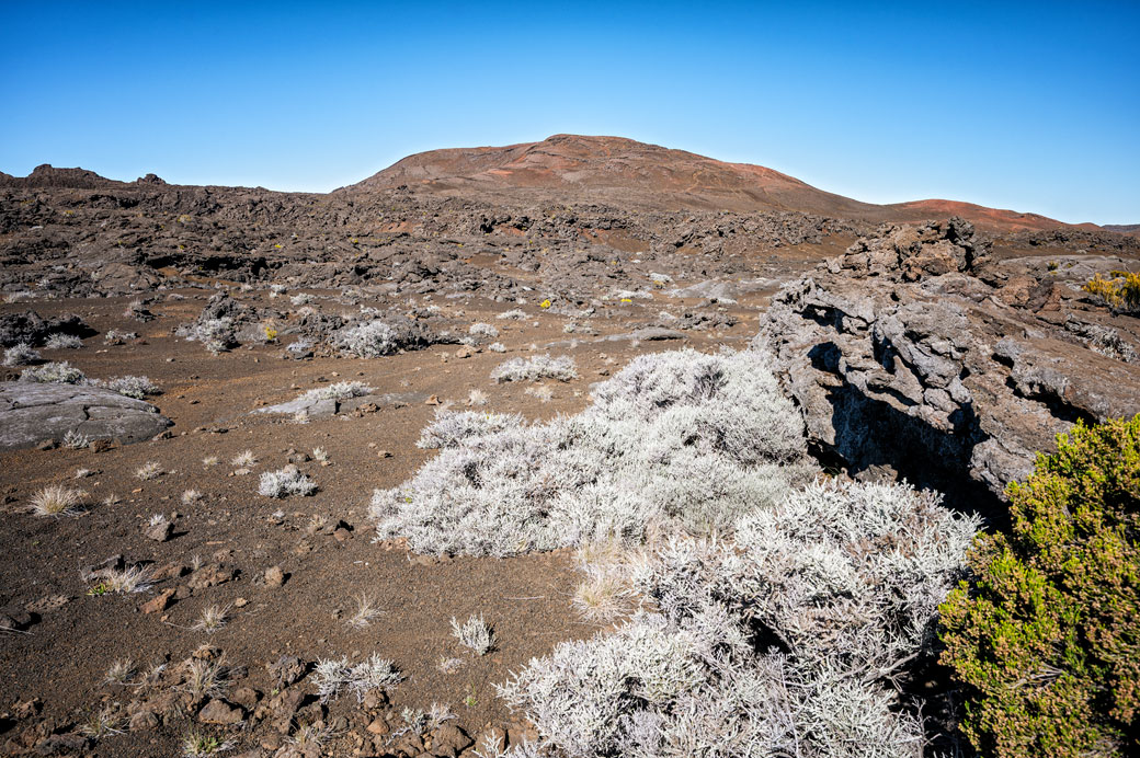 Végétation et paysage volcanique sur la Plaine des Sables