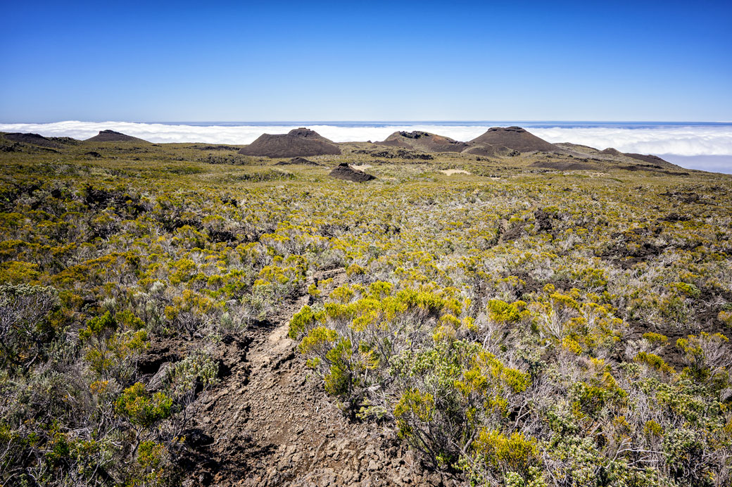 Cônes volcaniques des puys Ramond