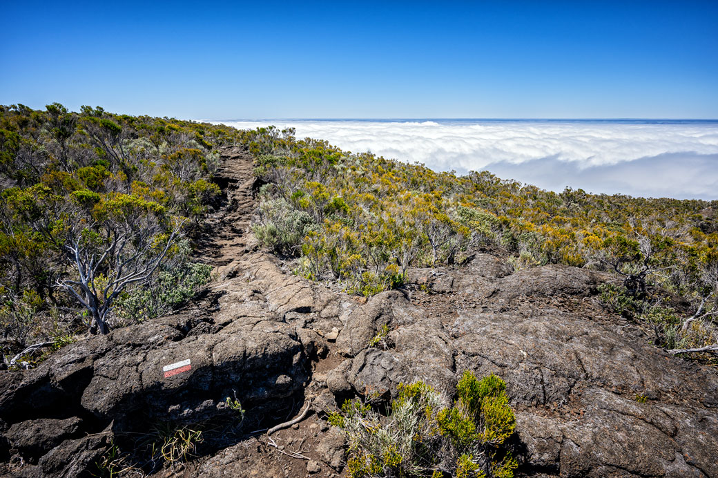 Sentier du GR R2 au-dessus de la mer de nuages
