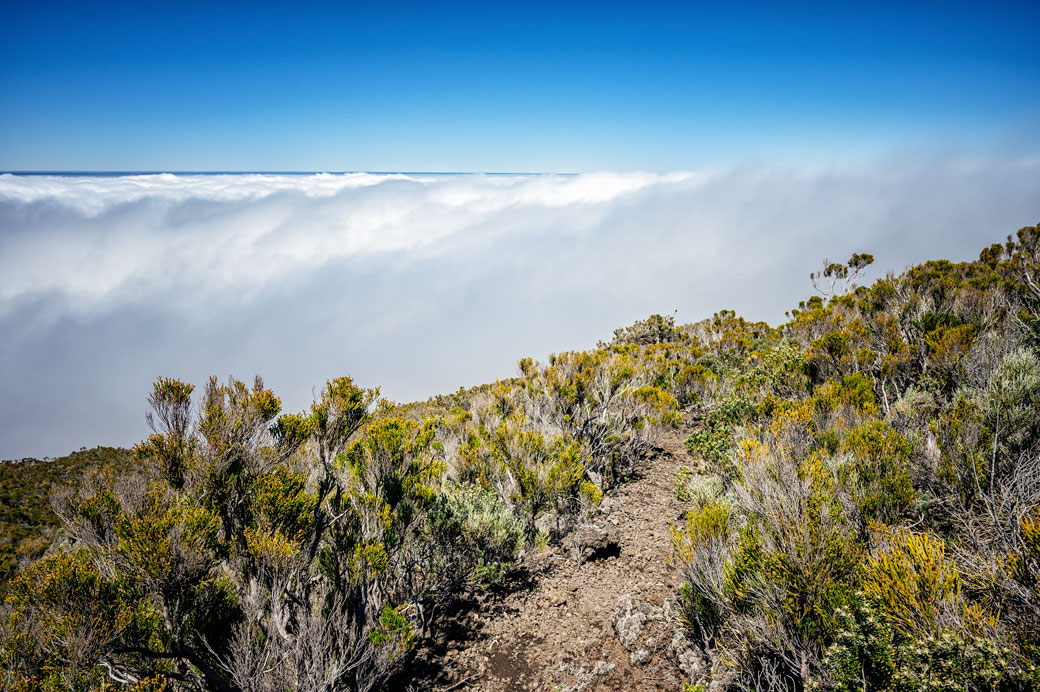 Descente dans la mer de nuages depuis le Piton de la Fournaise