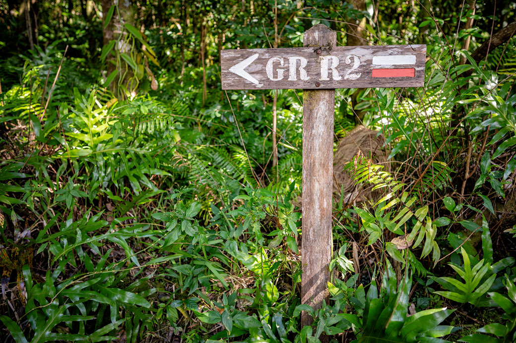 Panneau indicateur du sentier GR R2 dans la forêt