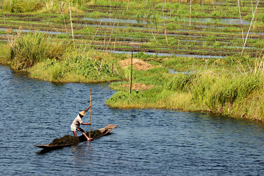 Homme au travail sur le lac Inle, Birmanie