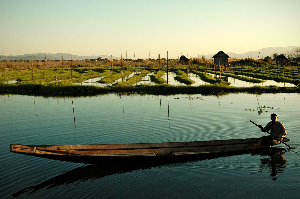 Barque et jardins flottants sur le lac Inle, Birmanie