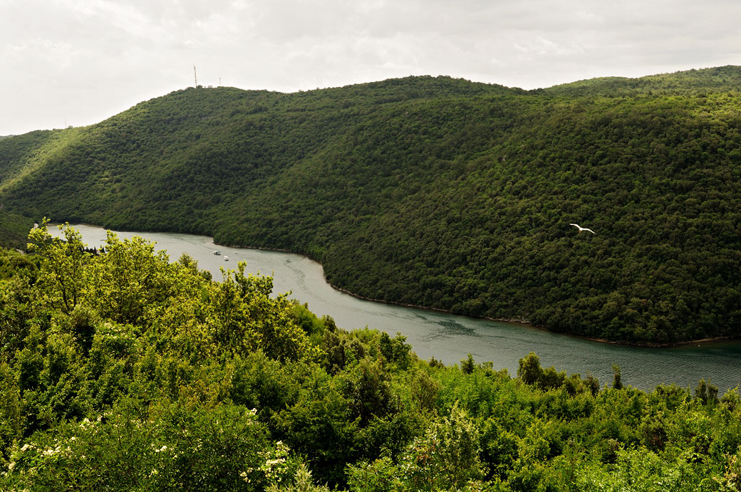 Fjord de Lim en Istrie, Croatie