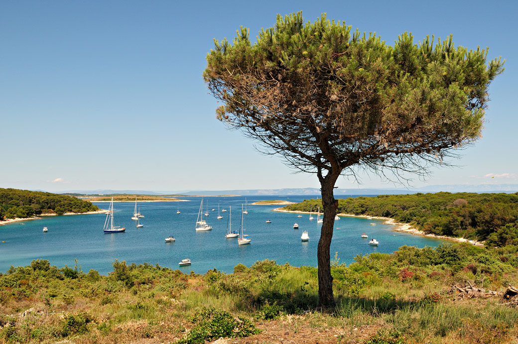 Bateaux dans une baie du cap Kamenjak au sud de l'Istrie, Croatie