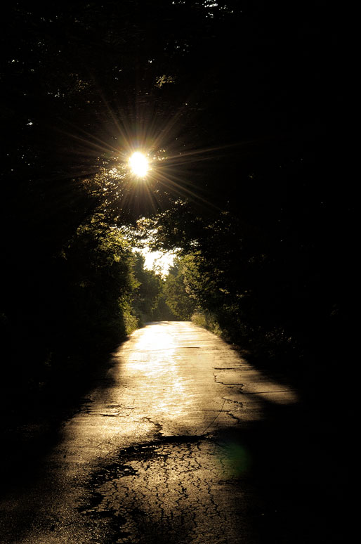 Route et soleil dans une forêt, Croatie