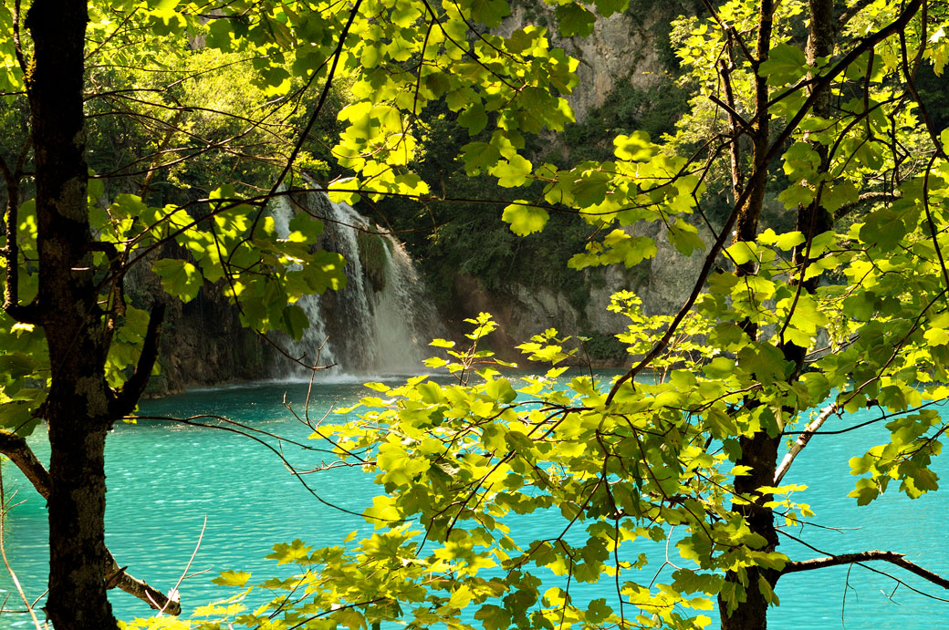 Chute d'eau à travers le feuillage à Plitvice, Croatie