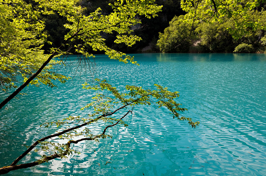 Lac turquoise dans le parc national de Plitvice, Croatie