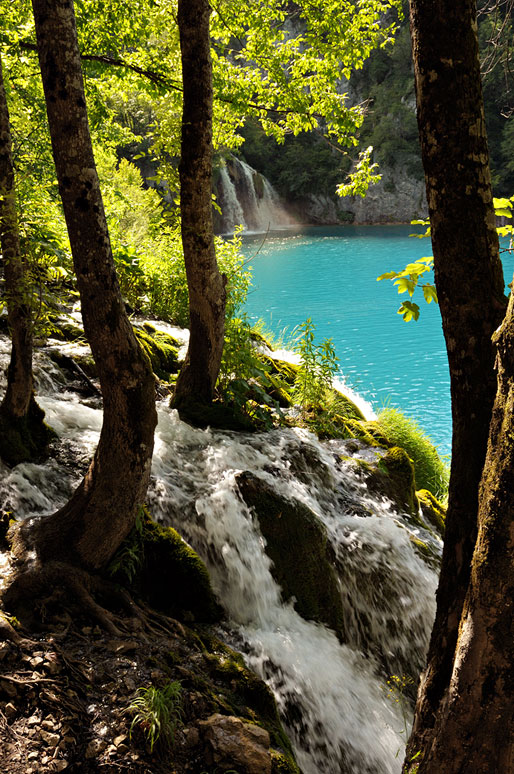 Cascades dans les bois de Plitvice, Croatie
