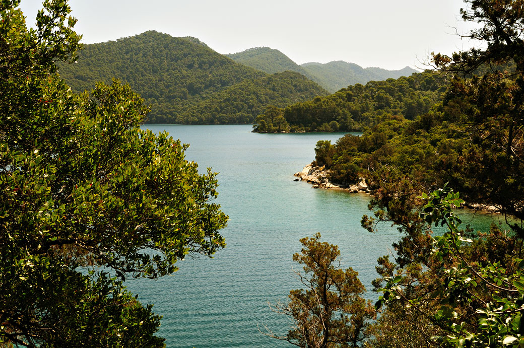 Forêt dense et lac salé à Mljet, Croatie