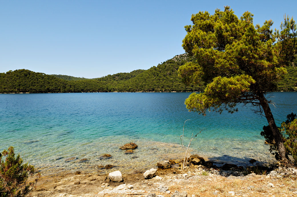 Petite plage au bord du grand lac salé à Mljet, Croatie