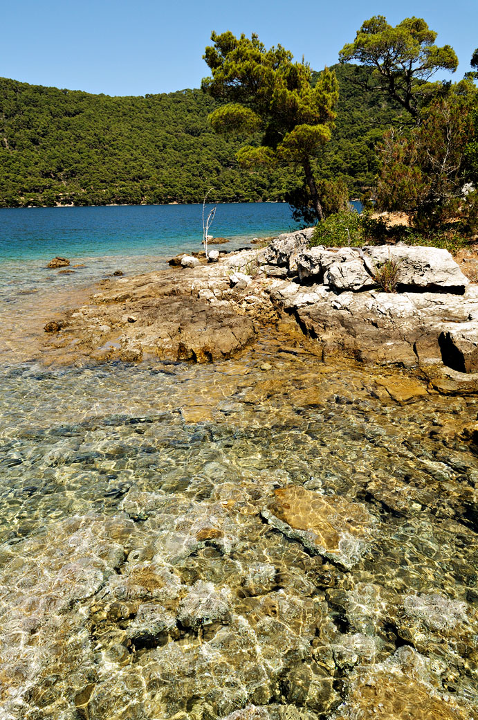 Petite plage rocheuse au bord du lac salé à Mljet, Croatie