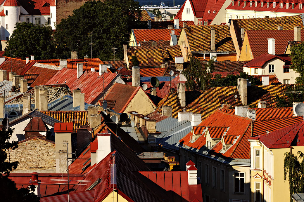 Toits rouges et cheminées de la vieille ville de Tallinn, Estonie