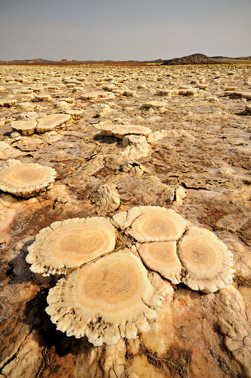 Concrétions minérales sur le volcan Dallol, Ethiopie