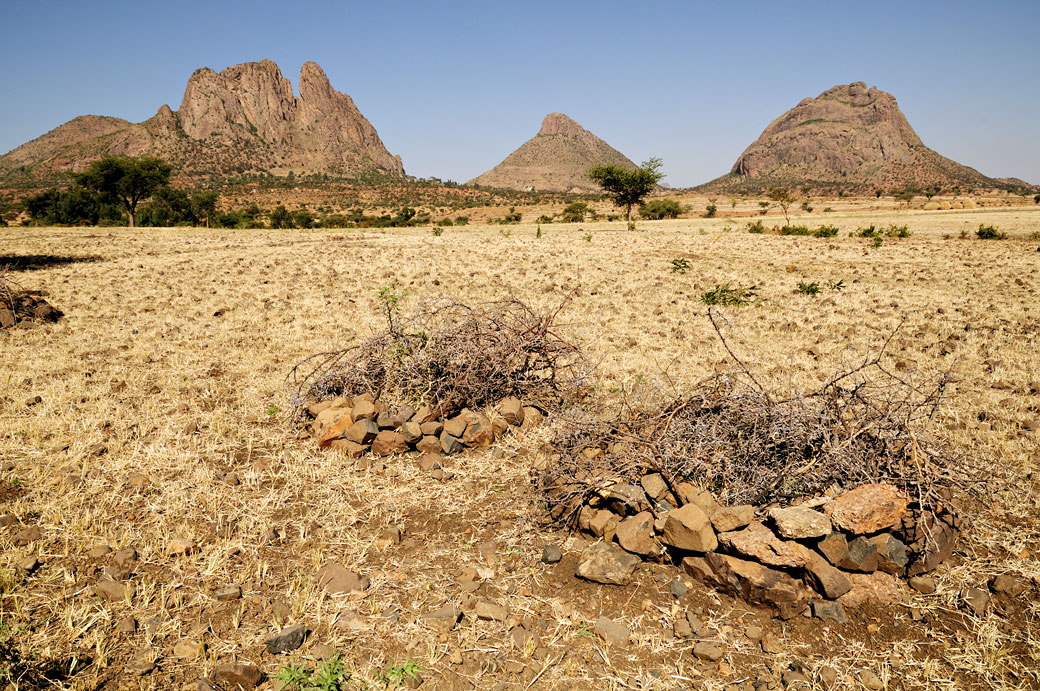 Montagnes des hauts plateaux de la région du Tigray, Ethiopie